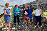 Bundesumweltministerin Steffi Lemke besuchte Solaranlage „Phönix“