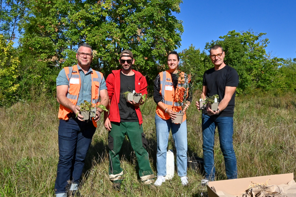 Martin Kretzschmar (HAVAG, v. l.), Martin Fahnert (SGS), Leonie Gräupner (HAVAG) und Ingo Englich (EVH, regstrom-Verein) zeigen den Inhalt der nachtinsektenfreundlichen Pflanzbox.