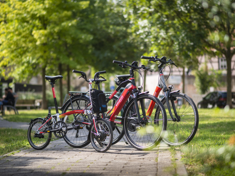 Drei rote Elektrofahrräder stehen in einem Park.