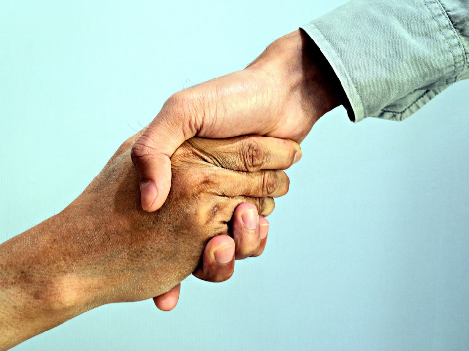 Zwei Hände, die sich in einem festen Händedruck begegnen, symbolisieren Zusammenarbeit und gegenseitiges Vertrauen.